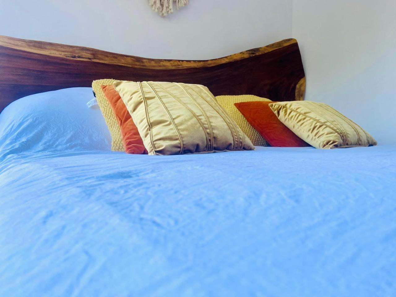 Villa Loft increíble king size Alberca infinita,Gym en medio de la selva Tulum Exterior foto